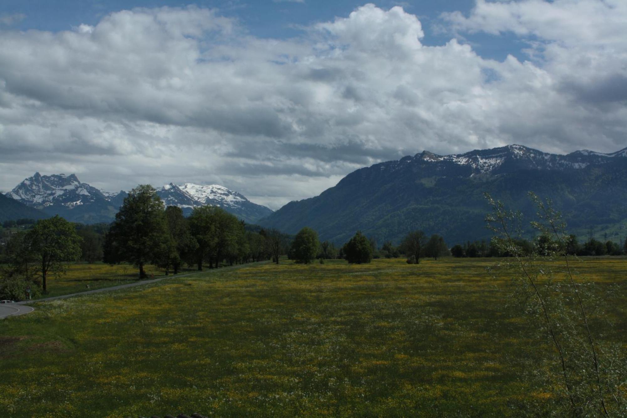 Bnb Entensee Uznach エクステリア 写真