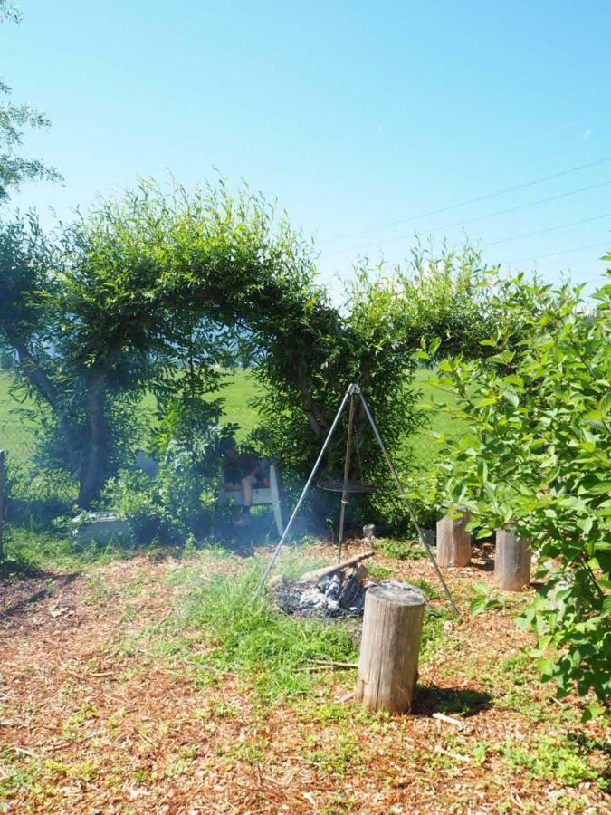 Bnb Entensee Uznach エクステリア 写真