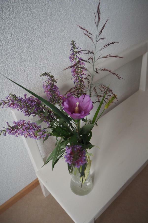 Bnb Entensee Uznach エクステリア 写真